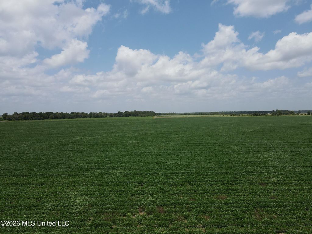 Hot Thornton Road, Tunica, MS 38676 — photo 5