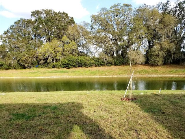 4923 ROLLING GREEN DRIVE, Wesley Chapel, FL 33543