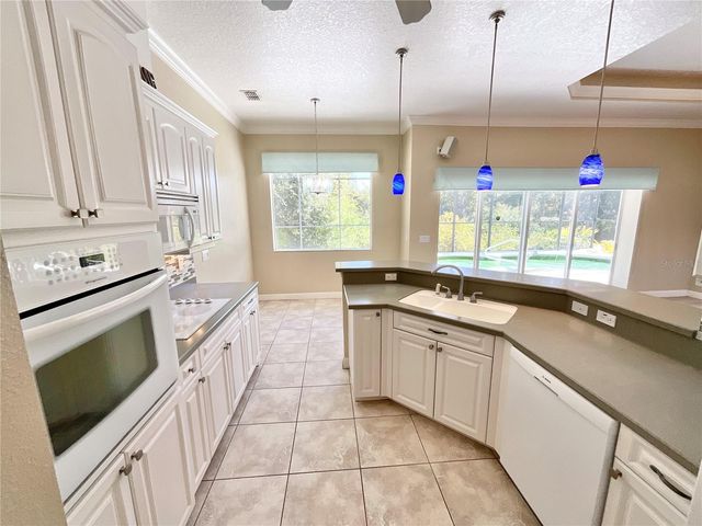 1828 OSPREY LANE, Lutz, FL 33549