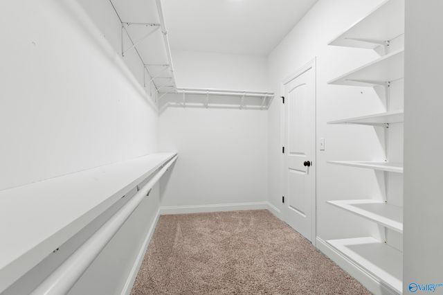 130 Talia Drive, Madison, AL 35756