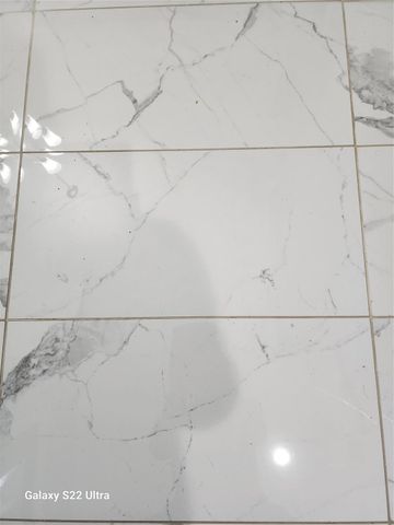 21007 Whitehaven Bluff Trail, Katy, TX 77449