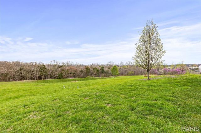 912 Wellington Ridge, Festus, MO 63028