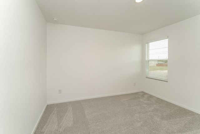 10827 Bird Of Paradise Lane, Houston, TX 77016