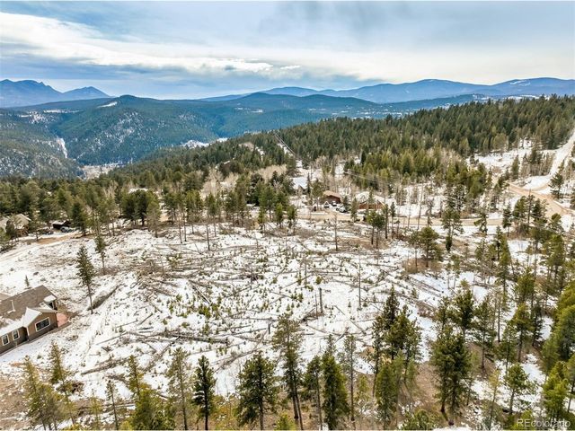 1513 Ridge Rd, Nederland, CO 80466