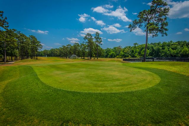 102 Amen Corner, Summerville, SC 29483