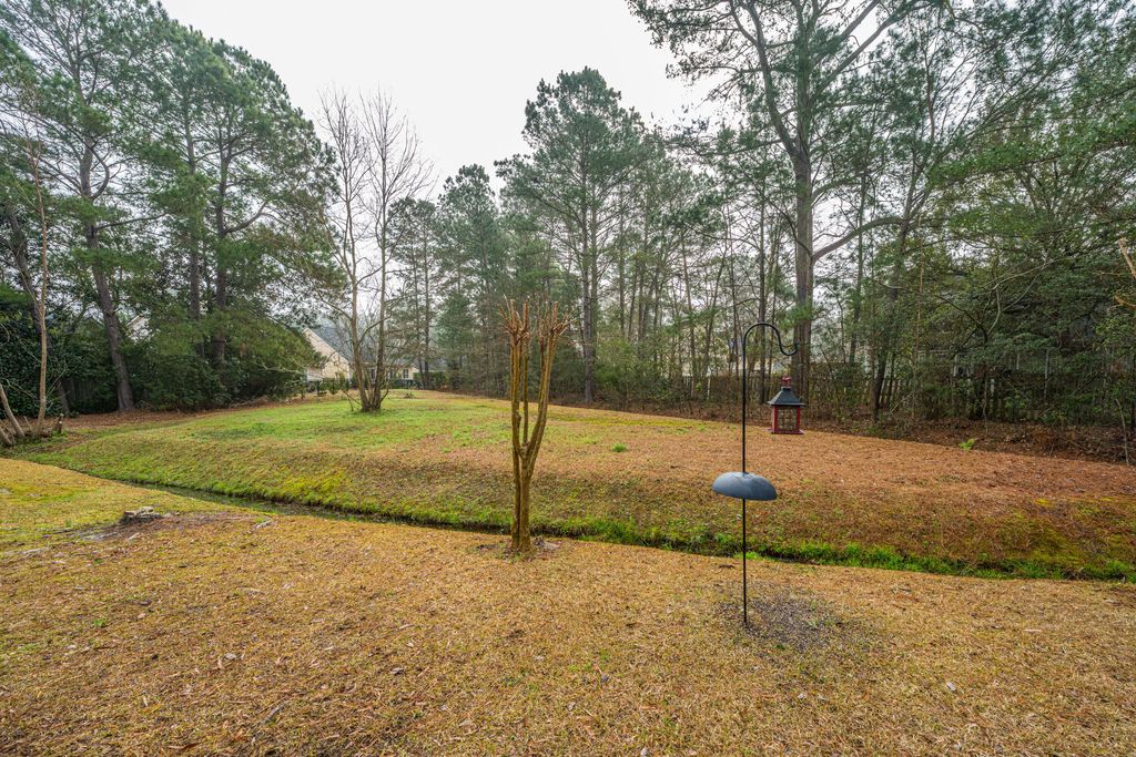 Image 31 of property listing at 102 Amen Corner, Summerville, SC 29483