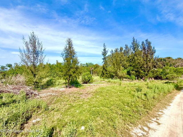 4 Grant Island, Grant-valkaria, FL 32949
