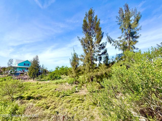 4 Grant Island, Grant-valkaria, FL 32949