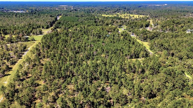 TBD Hwy 287, Corrigan, TX 75939