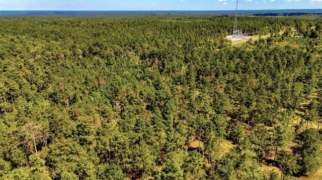 TBD Hwy 287, Corrigan, TX 75939