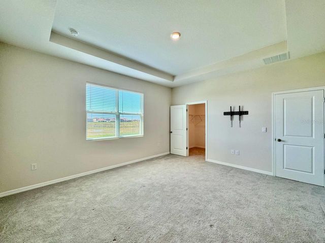 10959 COTTON VALE PLACE, San Antonio, FL 33576