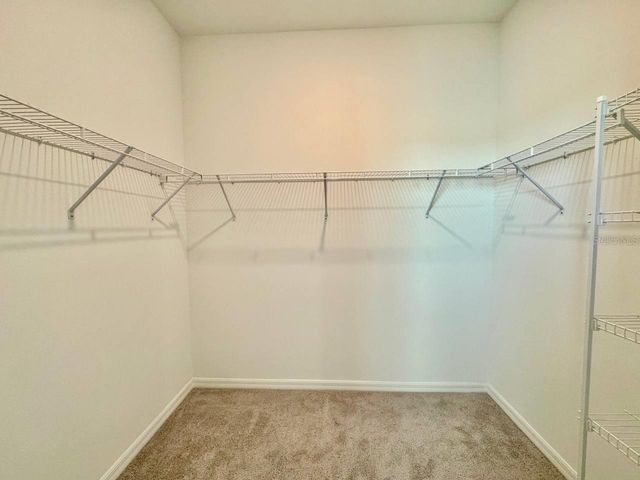 10959 COTTON VALE PLACE, San Antonio, FL 33576