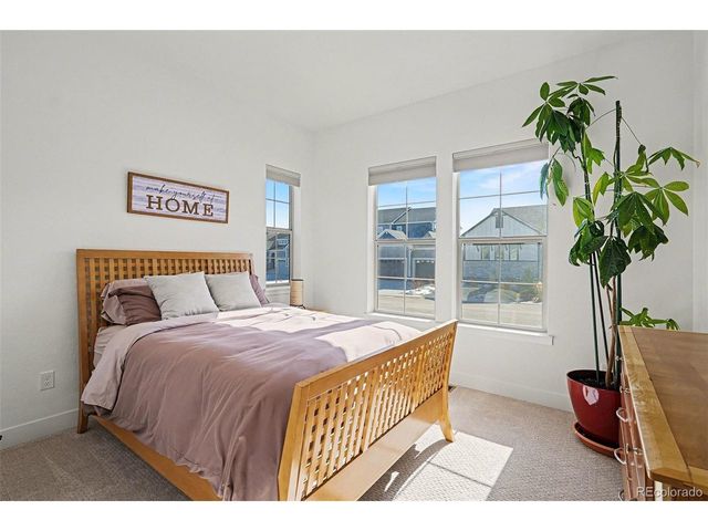 3367 Carabiner St, Castle Rock, CO 80108