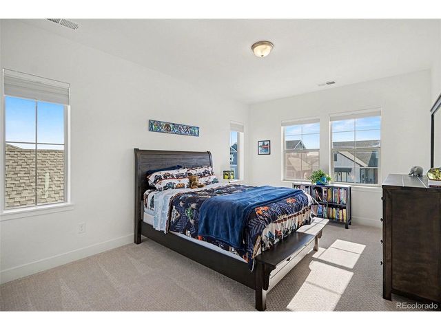 3367 Carabiner St, Castle Rock, CO 80108