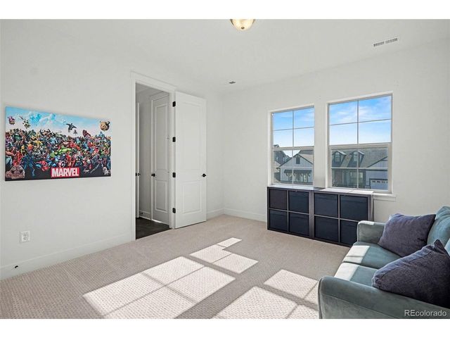 3367 Carabiner St, Castle Rock, CO 80108