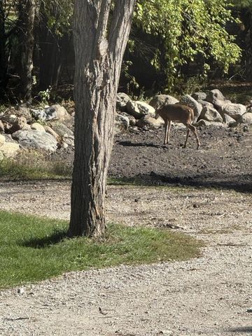 N8538 River ROAD, Watertown, WI 53094