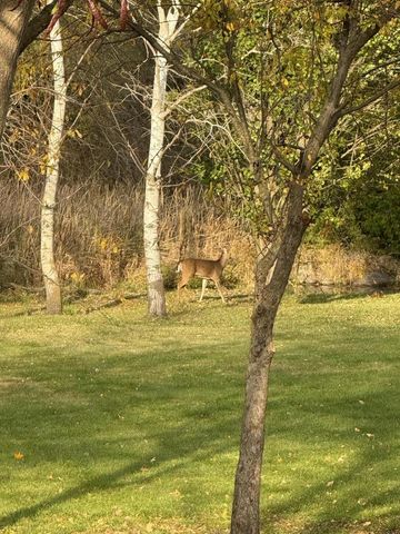 N8538 River ROAD, Watertown, WI 53094