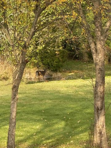 N8538 River ROAD, Watertown, WI 53094