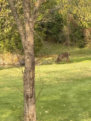 N8538 River ROAD, Watertown, WI 53094