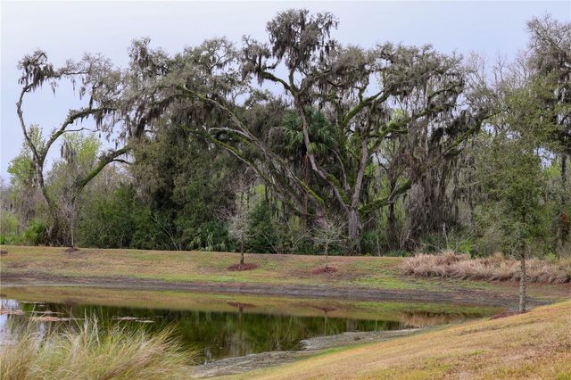 4714 WIGHTMAN CIRCLE, The Villages, FL 32163