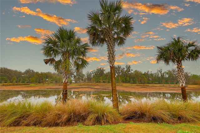 4714 WIGHTMAN CIRCLE, The Villages, FL 32163