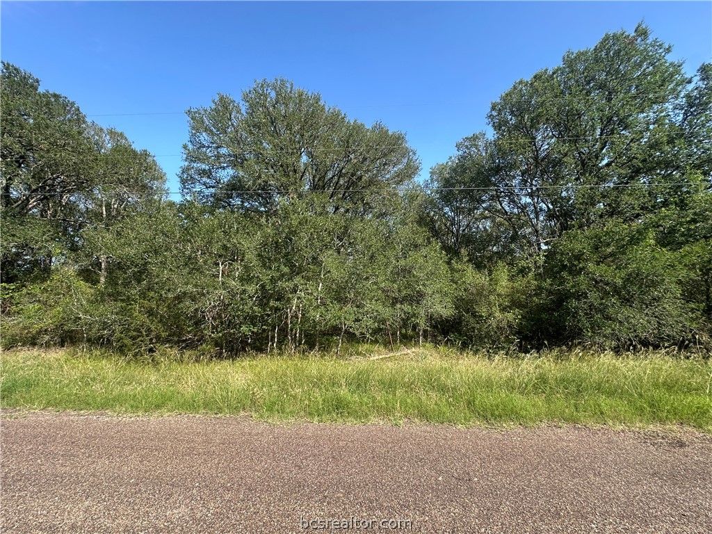 344 and 362 Indian Ridge Drive, Somerville, TX 77879 — exterior