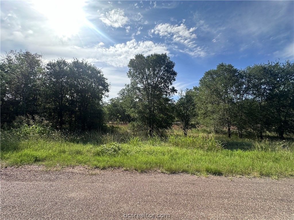 344 and 362 Indian Ridge Drive, Somerville, TX 77879 — photo 2