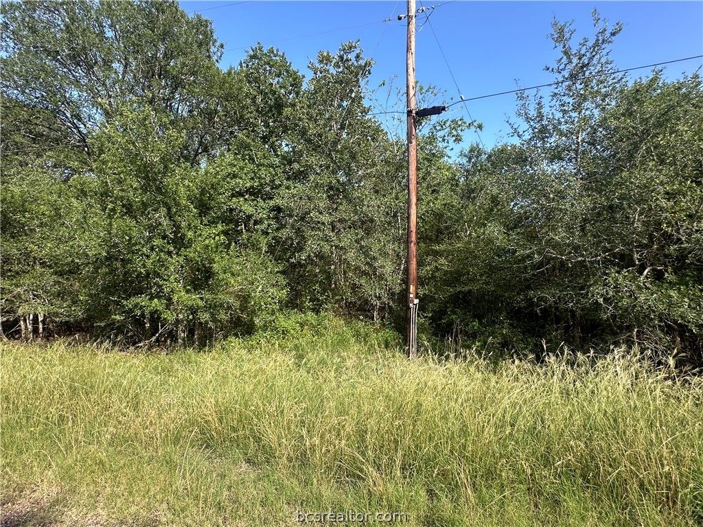 344 and 362 Indian Ridge Drive, Somerville, TX 77879 — photo 3