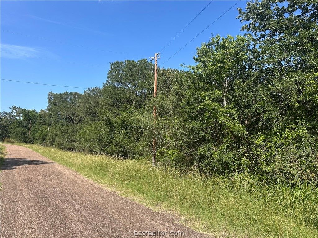 344 and 362 Indian Ridge Drive, Somerville, TX 77879 — photo 4