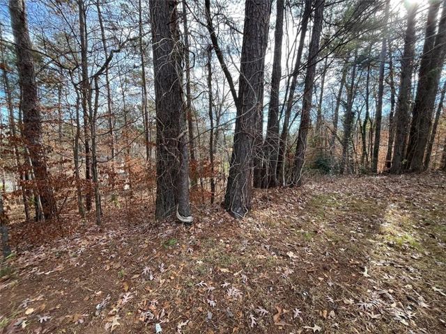 1120 Carlo Court, South Fulton, GA 30331