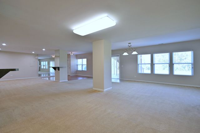 11819 Wolf Creek Lane, Plainfield, IL 60585