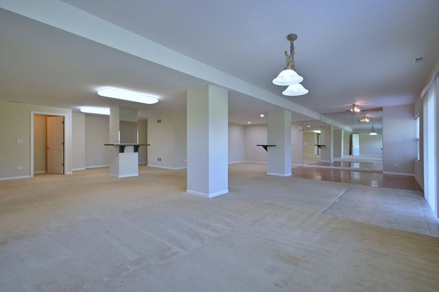 11819 Wolf Creek Lane, Plainfield, IL 60585