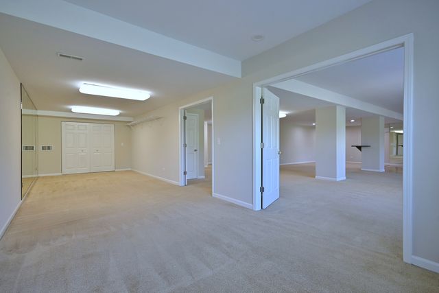 11819 Wolf Creek Lane, Plainfield, IL 60585