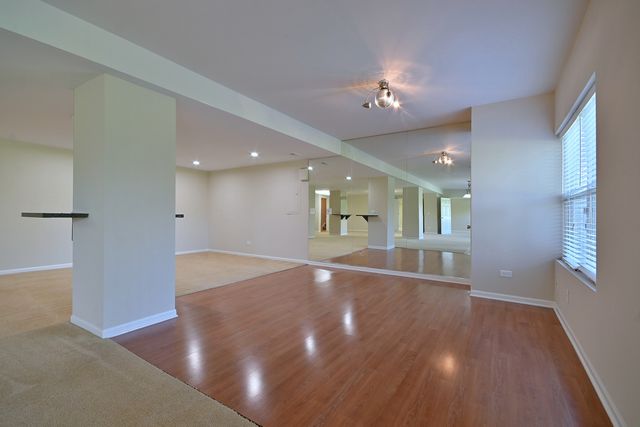 11819 Wolf Creek Lane, Plainfield, IL 60585