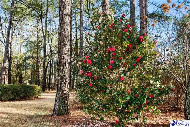 4208 Byrnes Boulevard, Florence, SC 29506