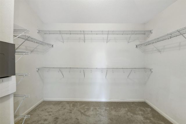 6530 Bella Noche Drive, Spring, TX 77379