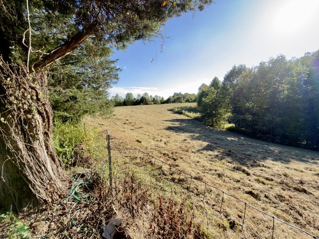 2210 Old Prospect Rd, Woodbury, TN 37190