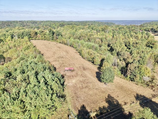 2210 Old Prospect Rd, Woodbury, TN 37190