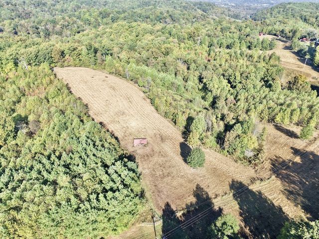 2210 Old Prospect Rd, Woodbury, TN 37190