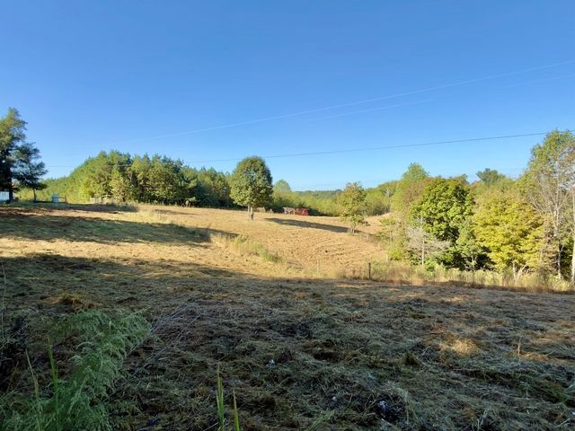 2210 Old Prospect Rd, Woodbury, TN 37190