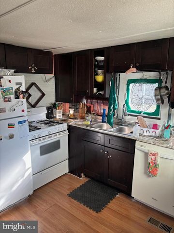 33959 CAMELIA #17288, Lewes, DE 19958