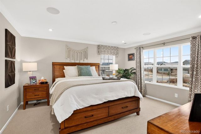 491 Silver Crown Court, Erie, CO 80516