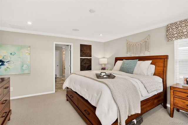 491 Silver Crown Court, Erie, CO 80516