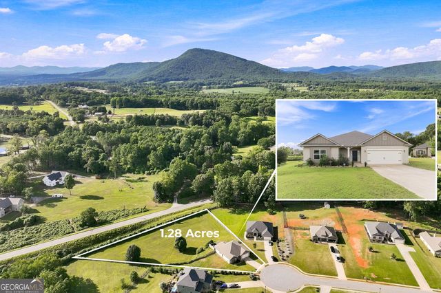 6104 Creekside View Ln, Clermont, GA 30527