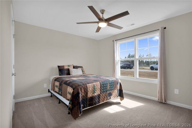 52 Dalmation Lane, Parkton, NC 28371