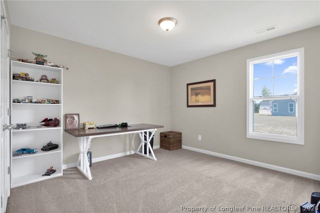 52 Dalmation Lane, Parkton, NC 28371