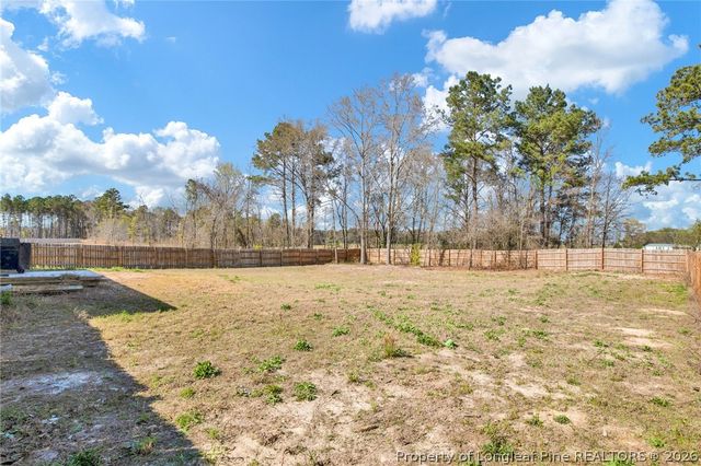 52 Dalmation Lane, Parkton, NC 28371