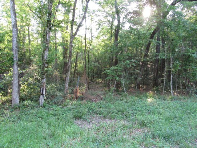 TBD Holly Lane, New Caney, TX 77357