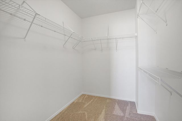 3923 Pineleaf Place NW, Albuquerque, NM 87114