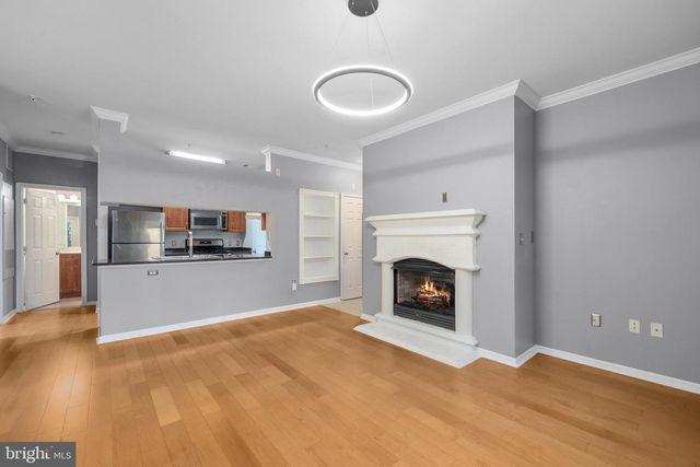 12108 GARDEN GROVE CIR #203, Fairfax, VA 22030
